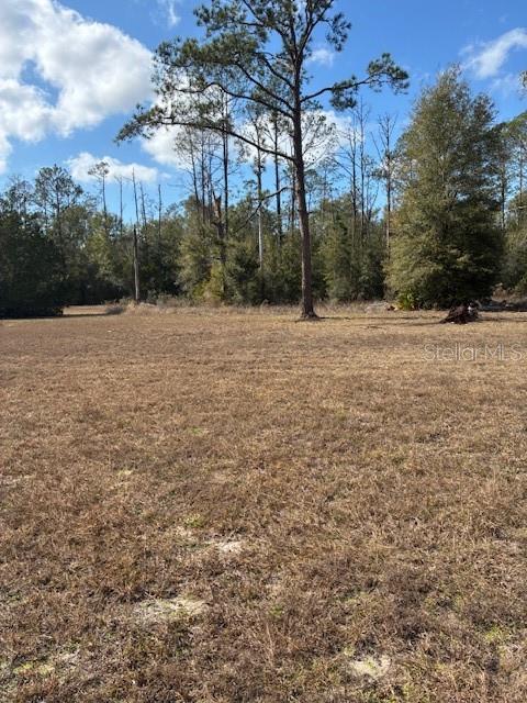20929 SW AUDUBON AVE, DUNNELLON, FL — photo 53