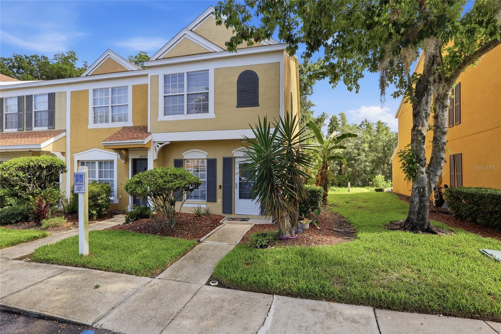 30029 GRANDA HILLS CT, WESLEY CHAPEL, FL