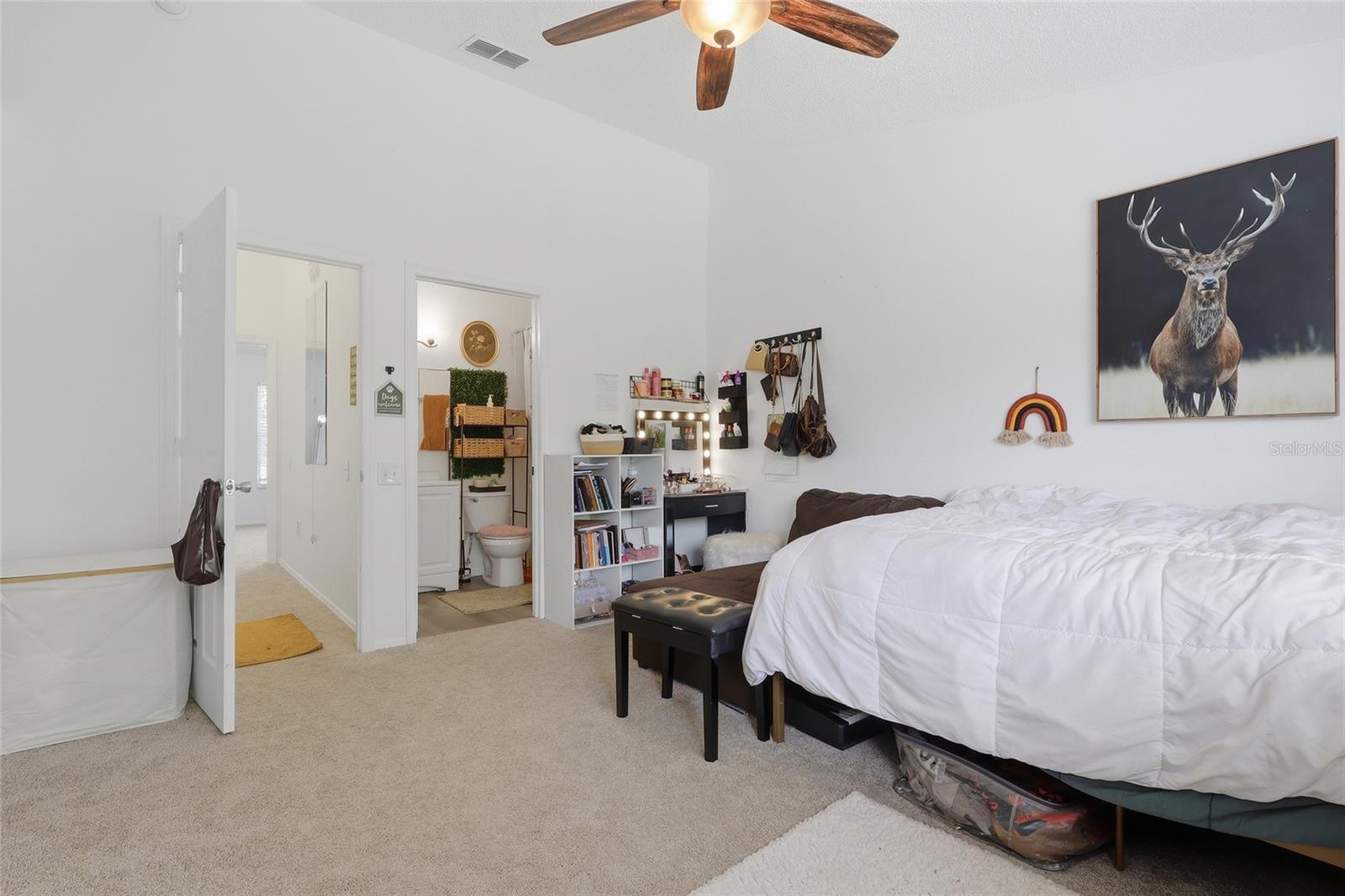 30029 GRANDA HILLS CT, WESLEY CHAPEL, FL — photo 12