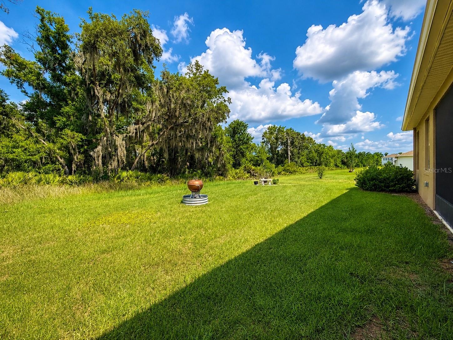 12544 SHINING WILLOW ST, RIVERVIEW, FL — photo 31