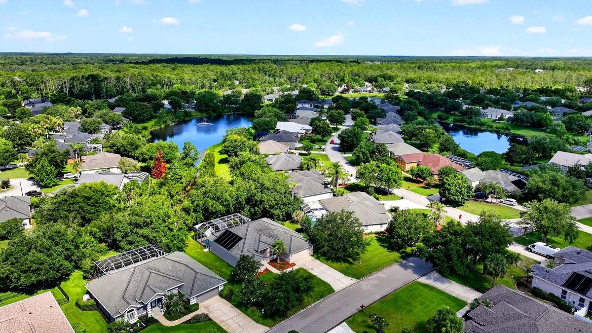 180 BLACK HICKORY WAY, ORMOND BEACH, FL — photo 47