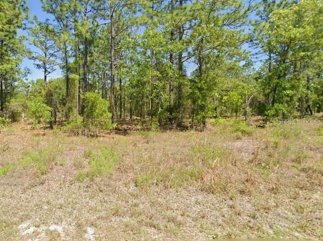 SW HARBOR HILLS RD, DUNNELLON, FL — photo 2