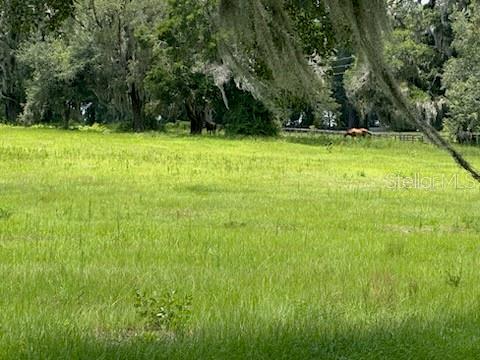 14854 NE JACKSONVILLE RD, CITRA, FL — photo 4