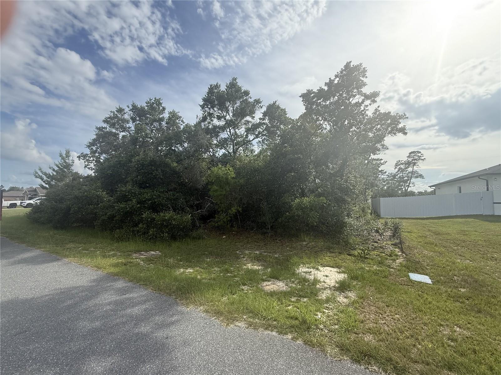 TBD SW 161ST LOOP, OCALA, FL