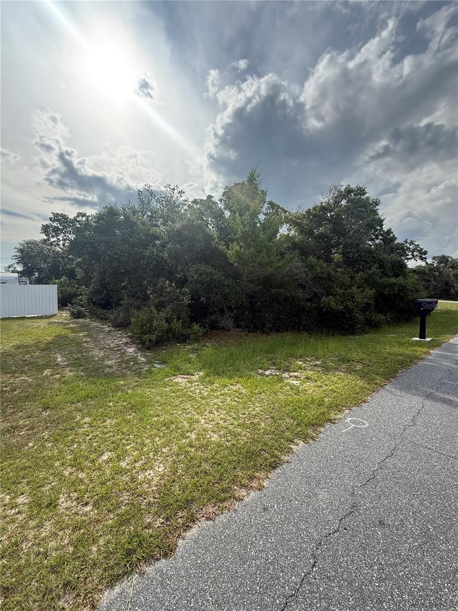 TBD SW 161ST LOOP, OCALA, FL — photo 2