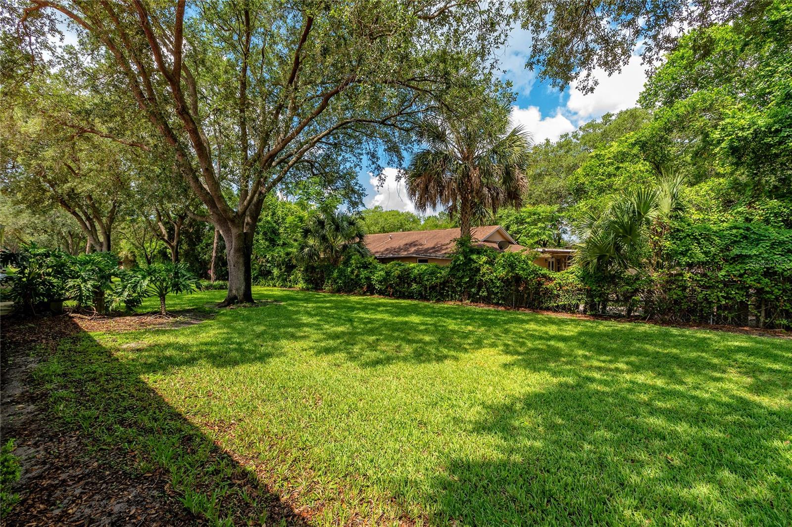7720 CHAPELHILL DR, ORLANDO, FL — photo 10