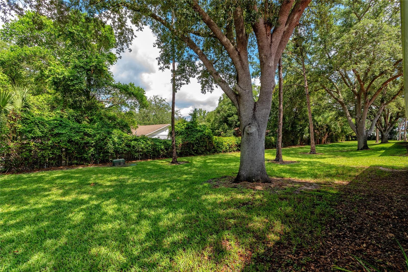 7720 CHAPELHILL DR, ORLANDO, FL — photo 11