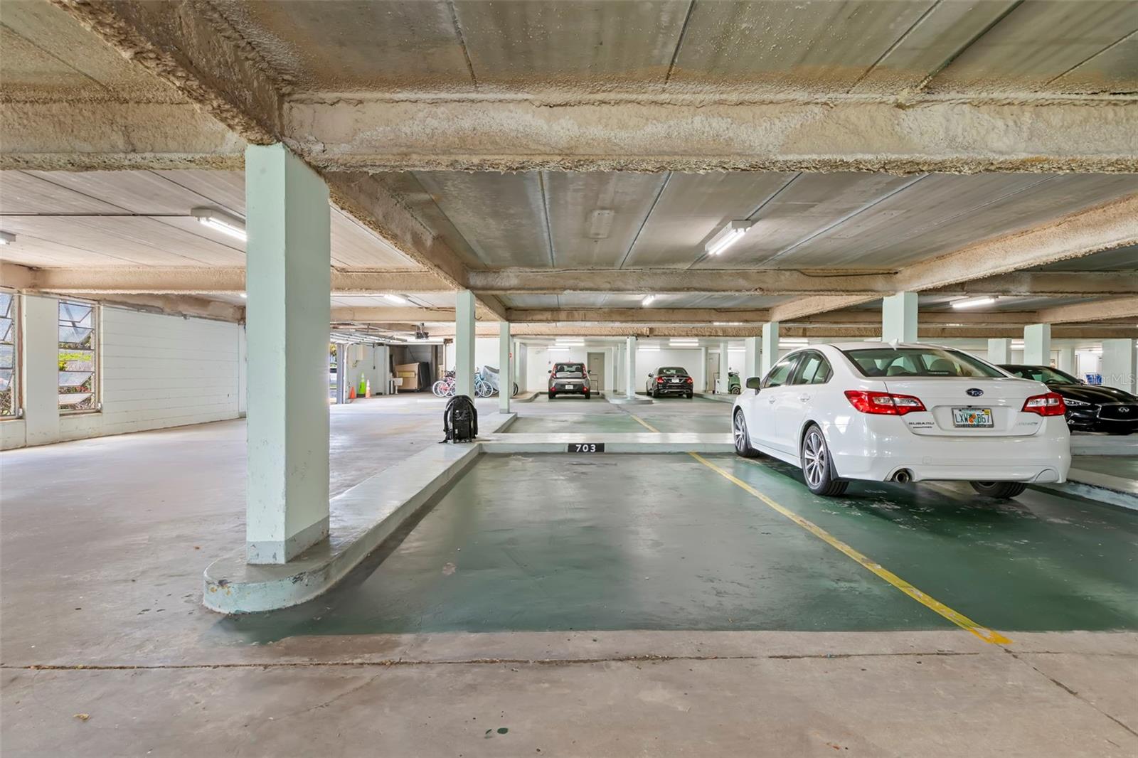 7100 SUNSHINE SKYWAY LN S #703, ST PETERSBURG, FL — photo 40