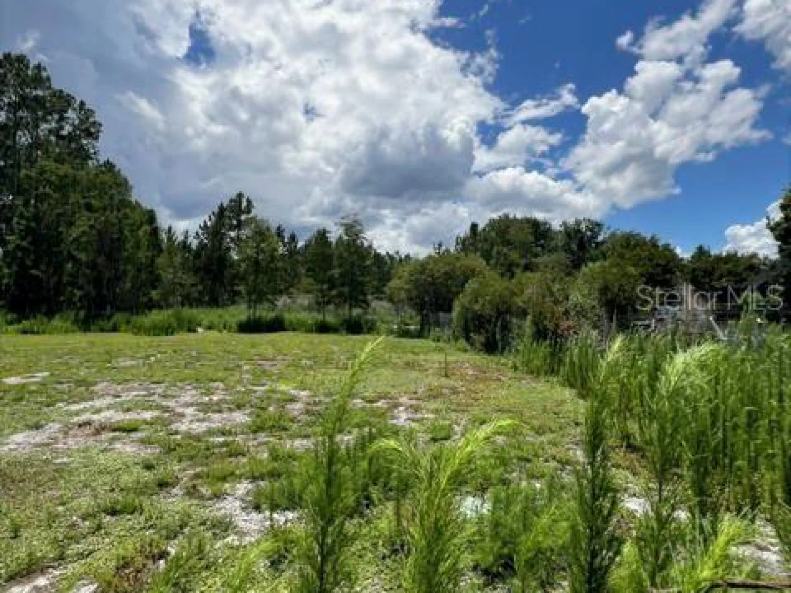 5345 S FORK RANCH DR, CLERMONT, FL — photo 26