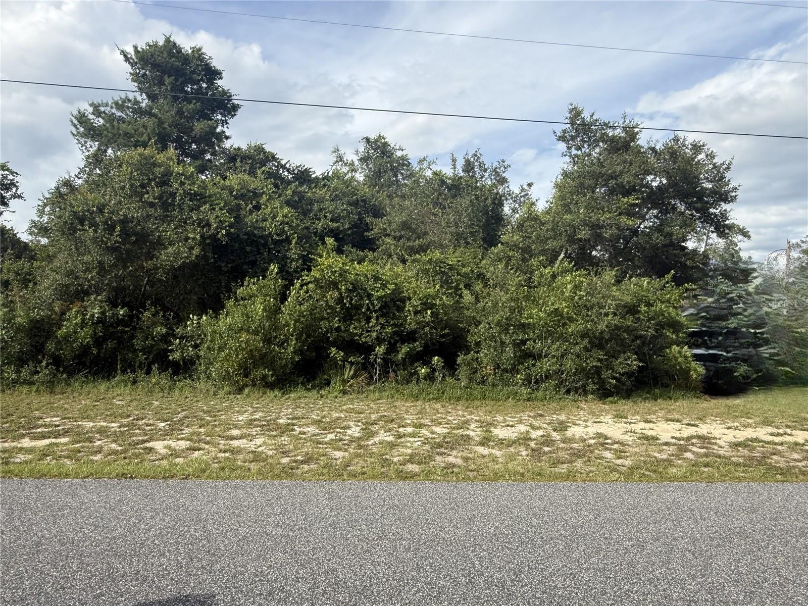 TBD SW 165TH STREET RD, OCALA, FL — photo 2