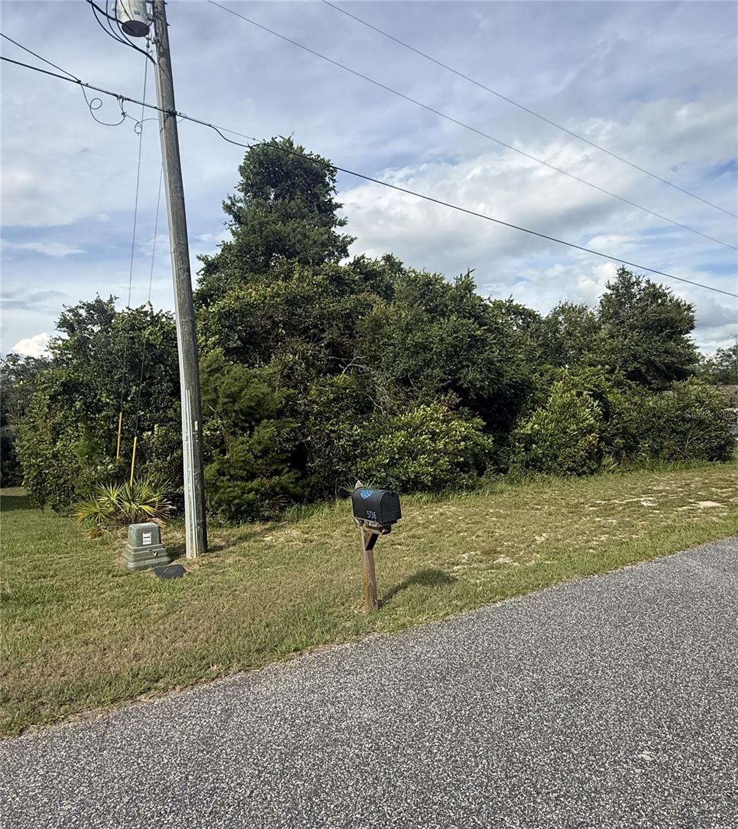 TBD SW 165TH STREET RD, OCALA, FL — photo 3