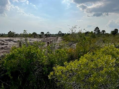 50760 BERMONT RD, PUNTA GORDA, FL — photo 13