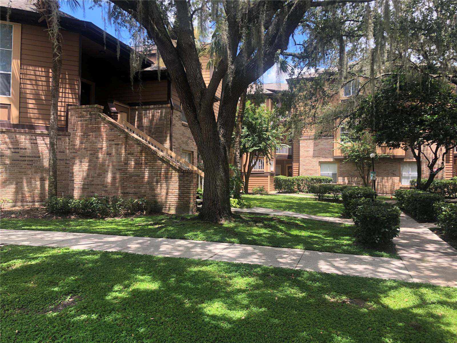 486 N PIN OAK PL #206, LONGWOOD, FL