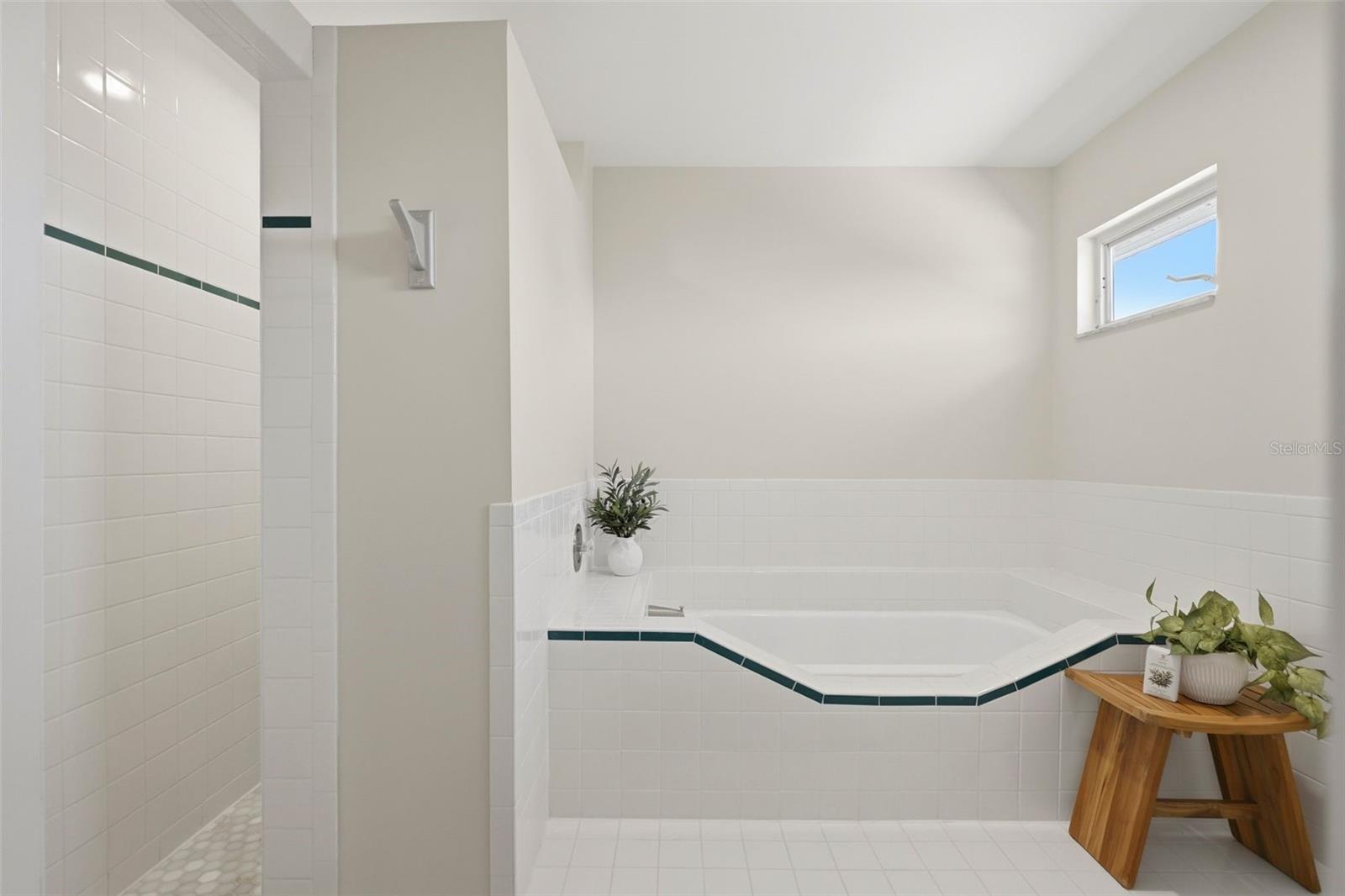 433 MONTE CRISTO BLVD, TIERRA VERDE, FL — photo 33