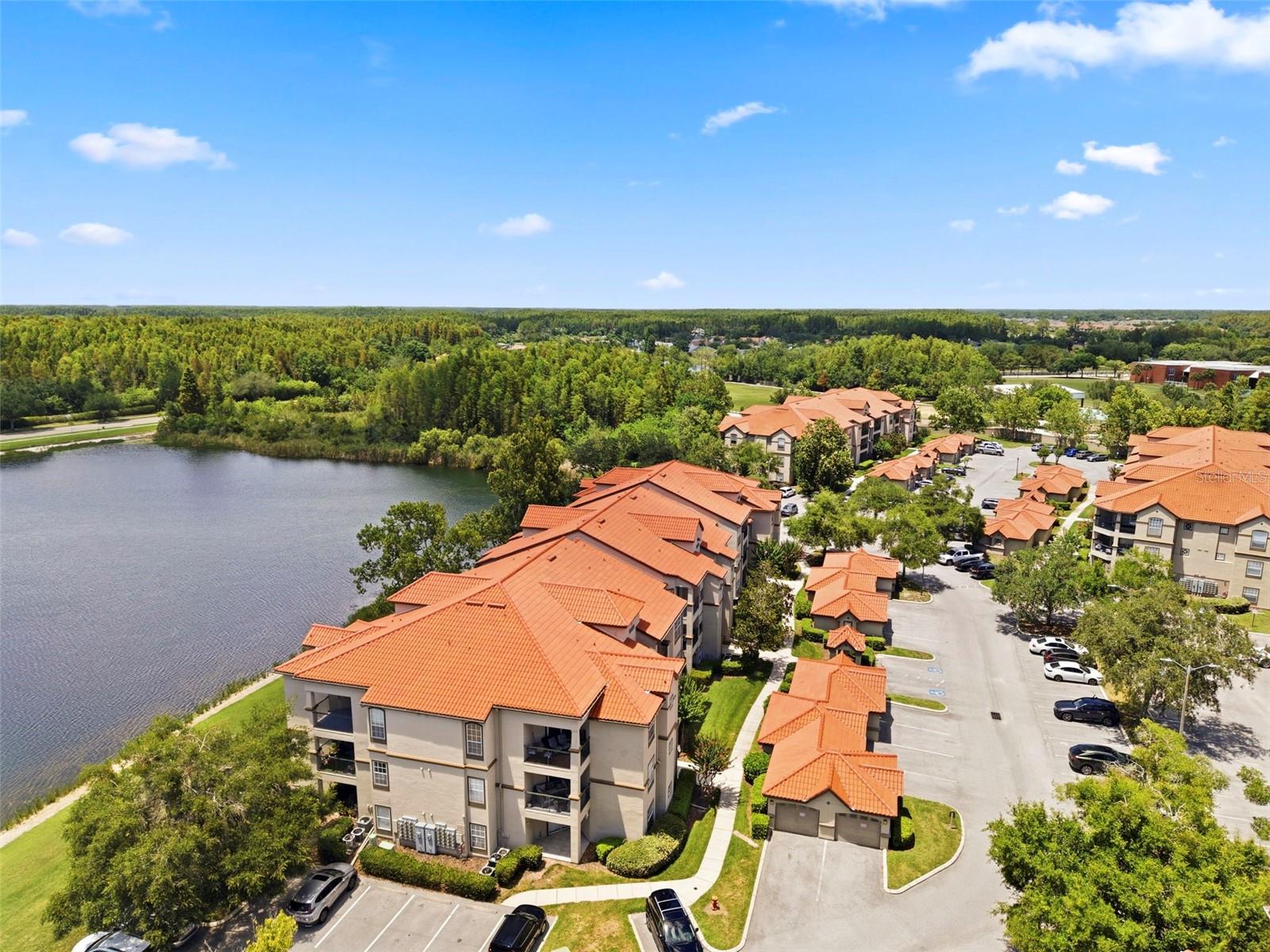 18106 PEREGRINES PERCH PL #5302, LUTZ, FL — photo 50