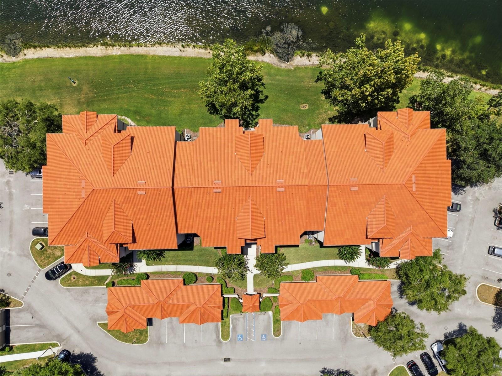 18106 PEREGRINES PERCH PL #5302, LUTZ, FL — photo 54