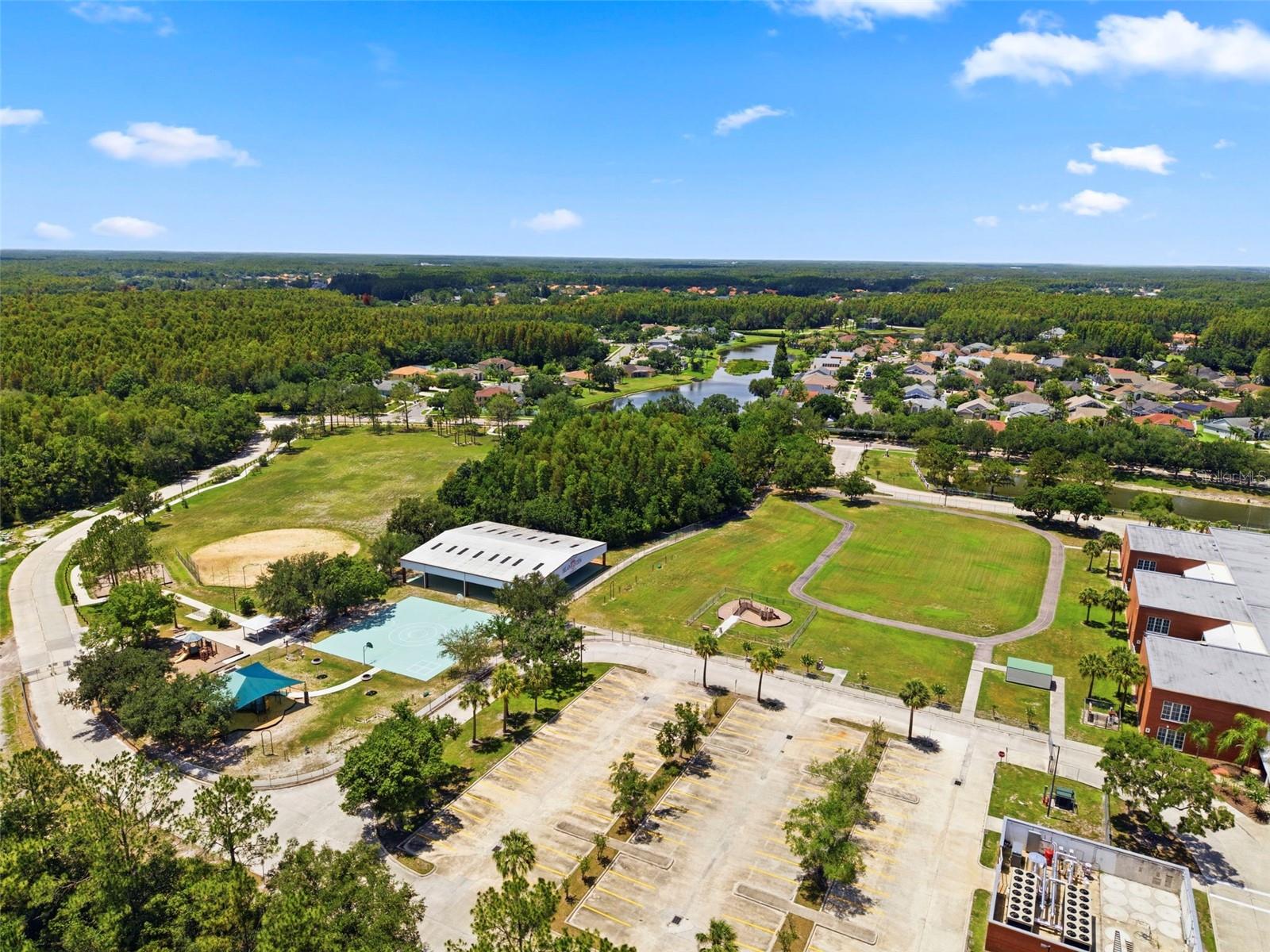 18106 PEREGRINES PERCH PL #5302, LUTZ, FL — photo 59