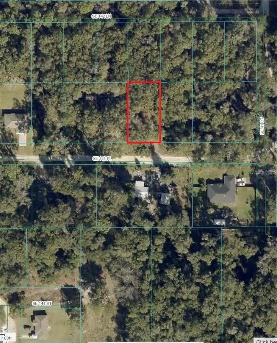 UNDETERMINED, SUMMERFIELD, FL