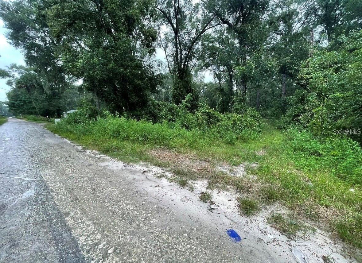 UNDETERMINED, SUMMERFIELD, FL — photo 2