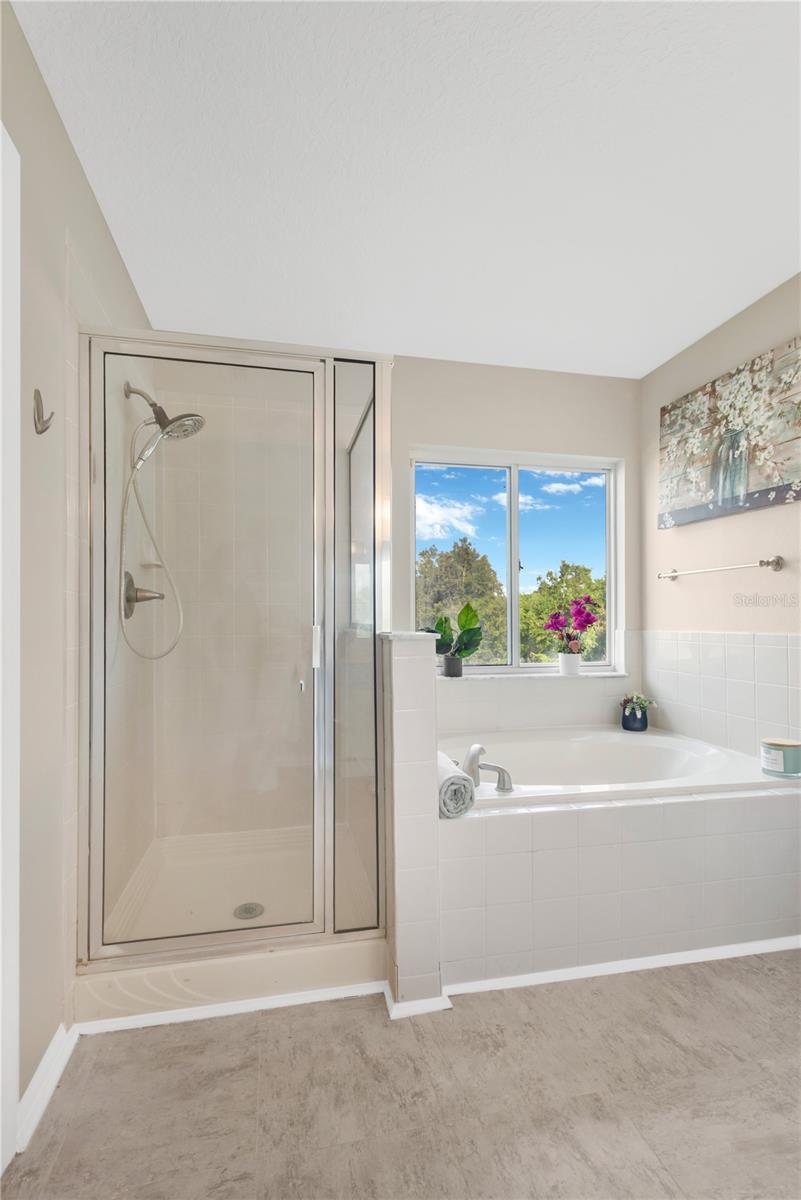 32200 BROOKSTONE DR, WESLEY CHAPEL, FL — photo 12