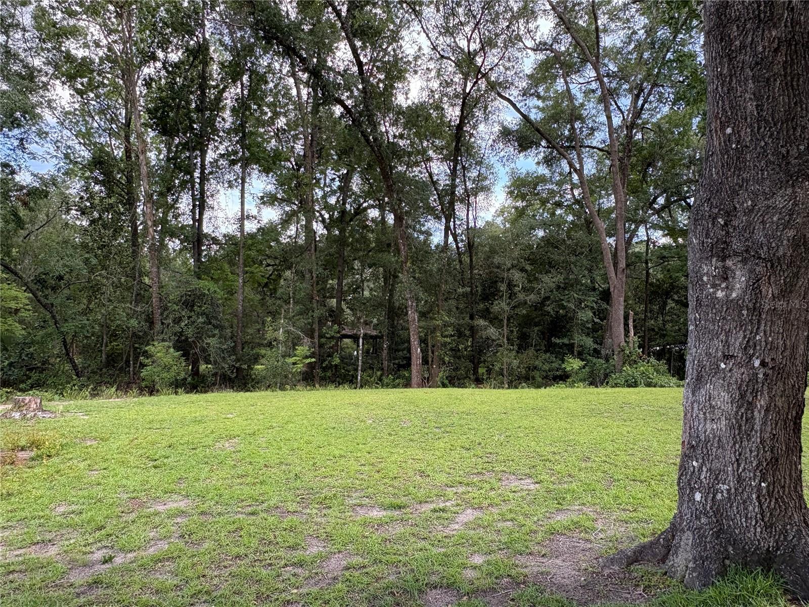 15190 NE 144TH ST, FORT MC COY, FL — photo 8