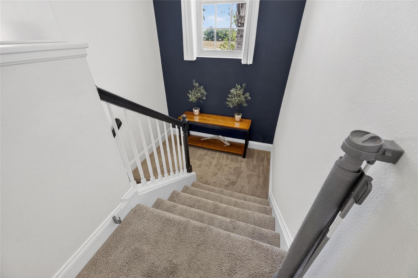 5536 LUMINAR POINTE LN, APOLLO BEACH, FL — photo 49