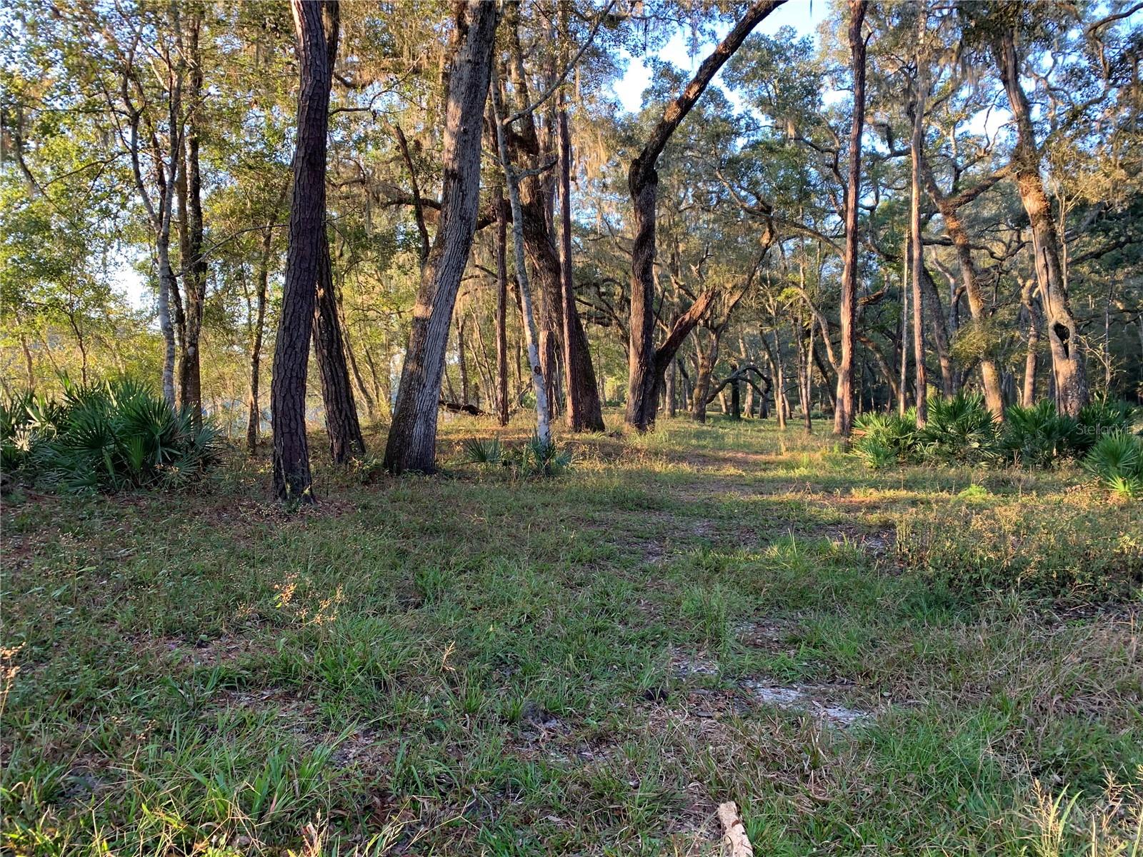 1305 NE 930TH ST, OLD TOWN, FL — photo 3