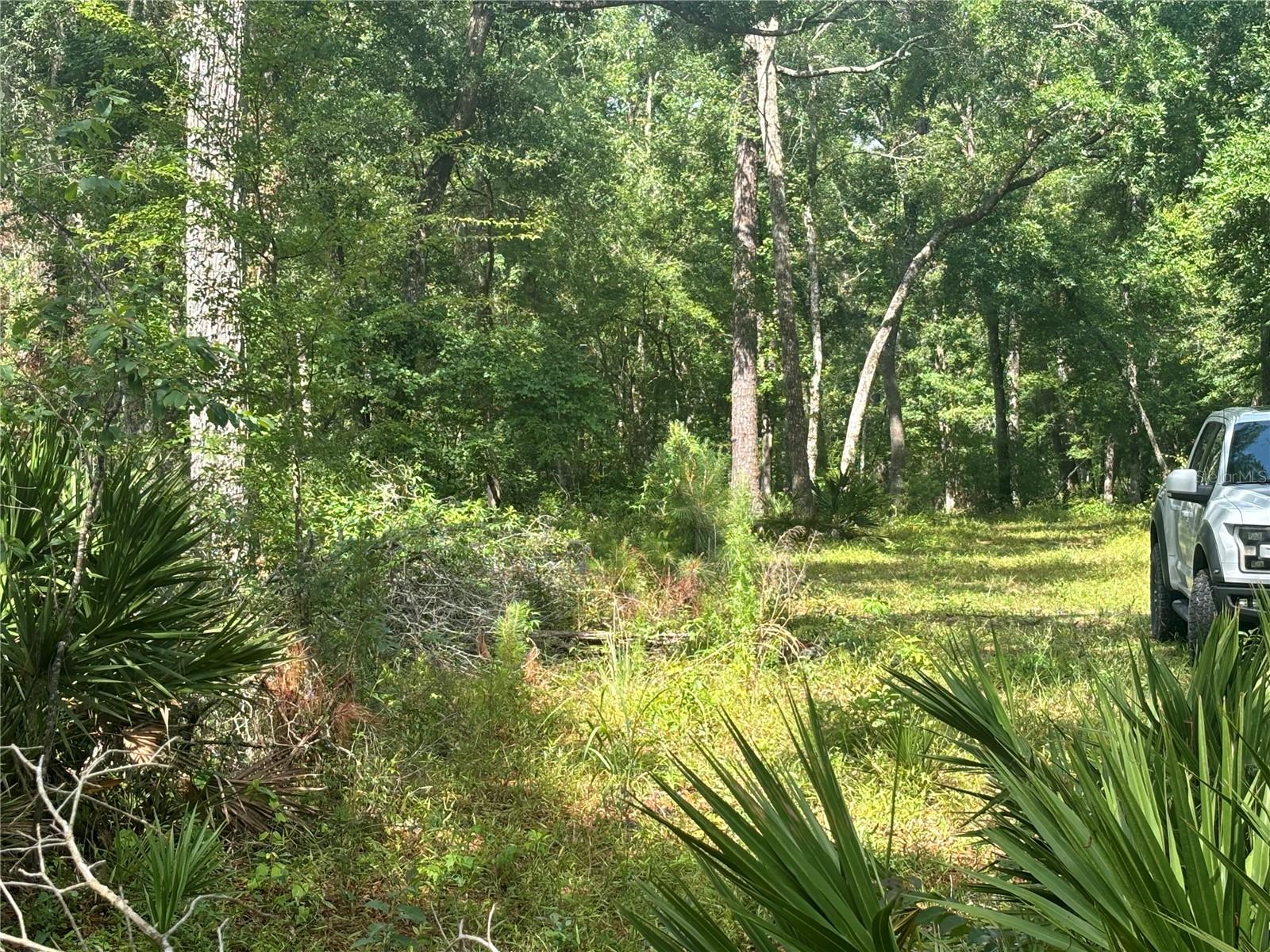 1305 NE 930TH ST, OLD TOWN, FL — photo 7