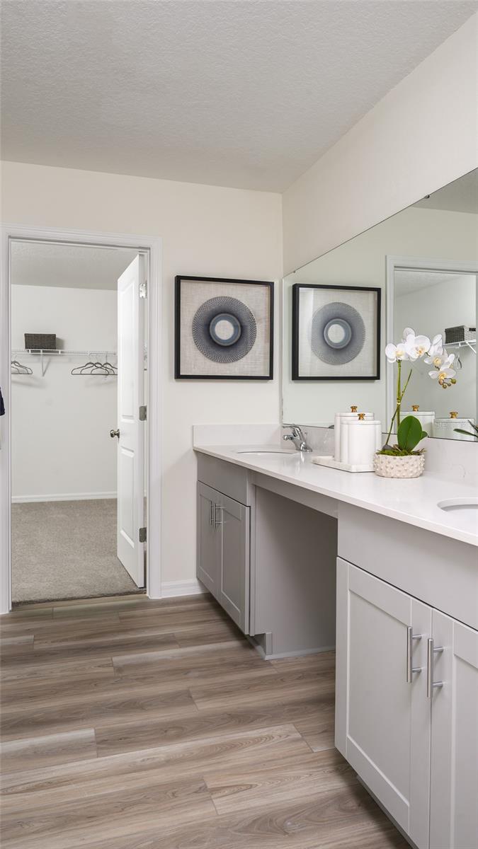 31691 OYSTER TRELLIS LN, WESLEY CHAPEL, FL — photo 7