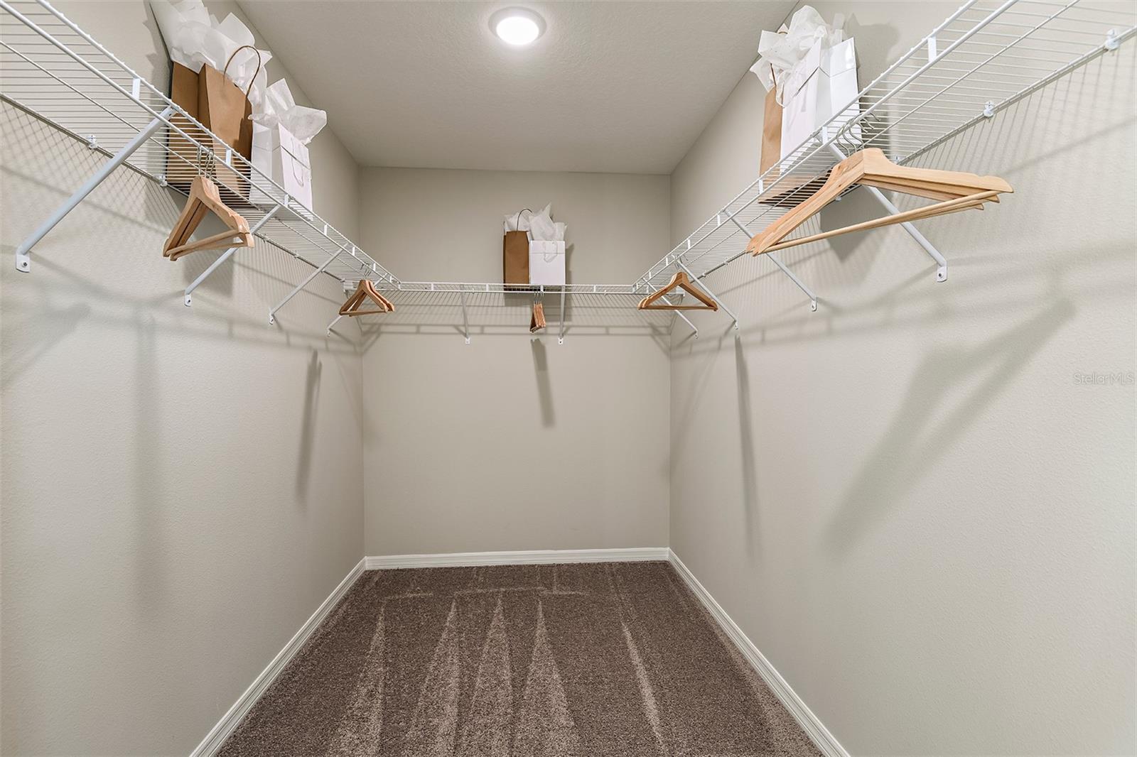 31685 OYSTER TRELLIS LN, WESLEY CHAPEL, FL — photo 9