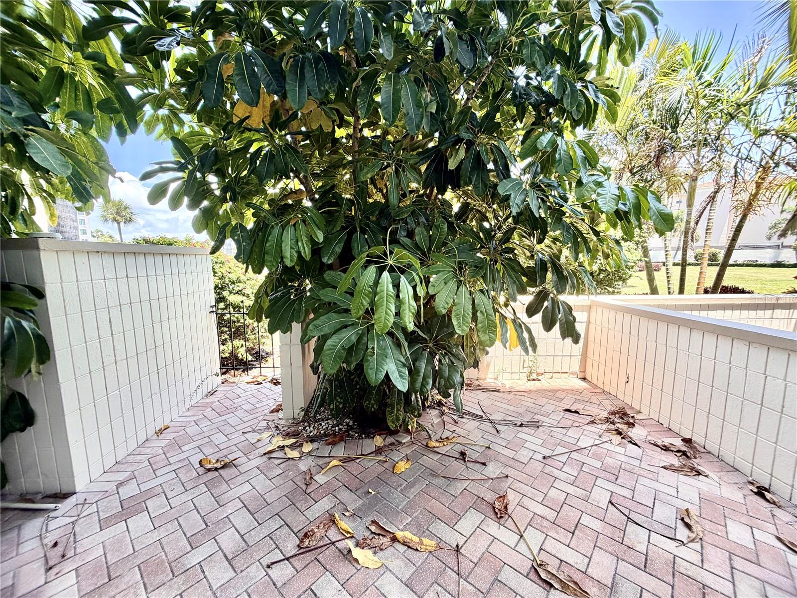 7400 SUN ISLAND DR S #111, SOUTH PASADENA, FL — photo 26