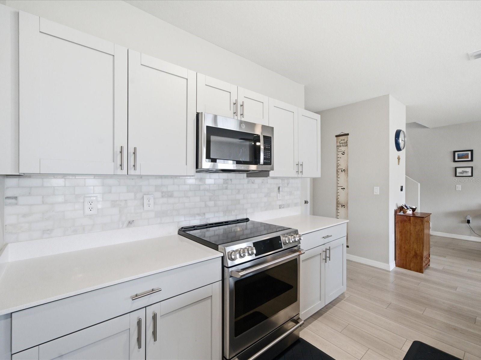 34149 SCARLET SAGE CT, WESLEY CHAPEL, FL — photo 14