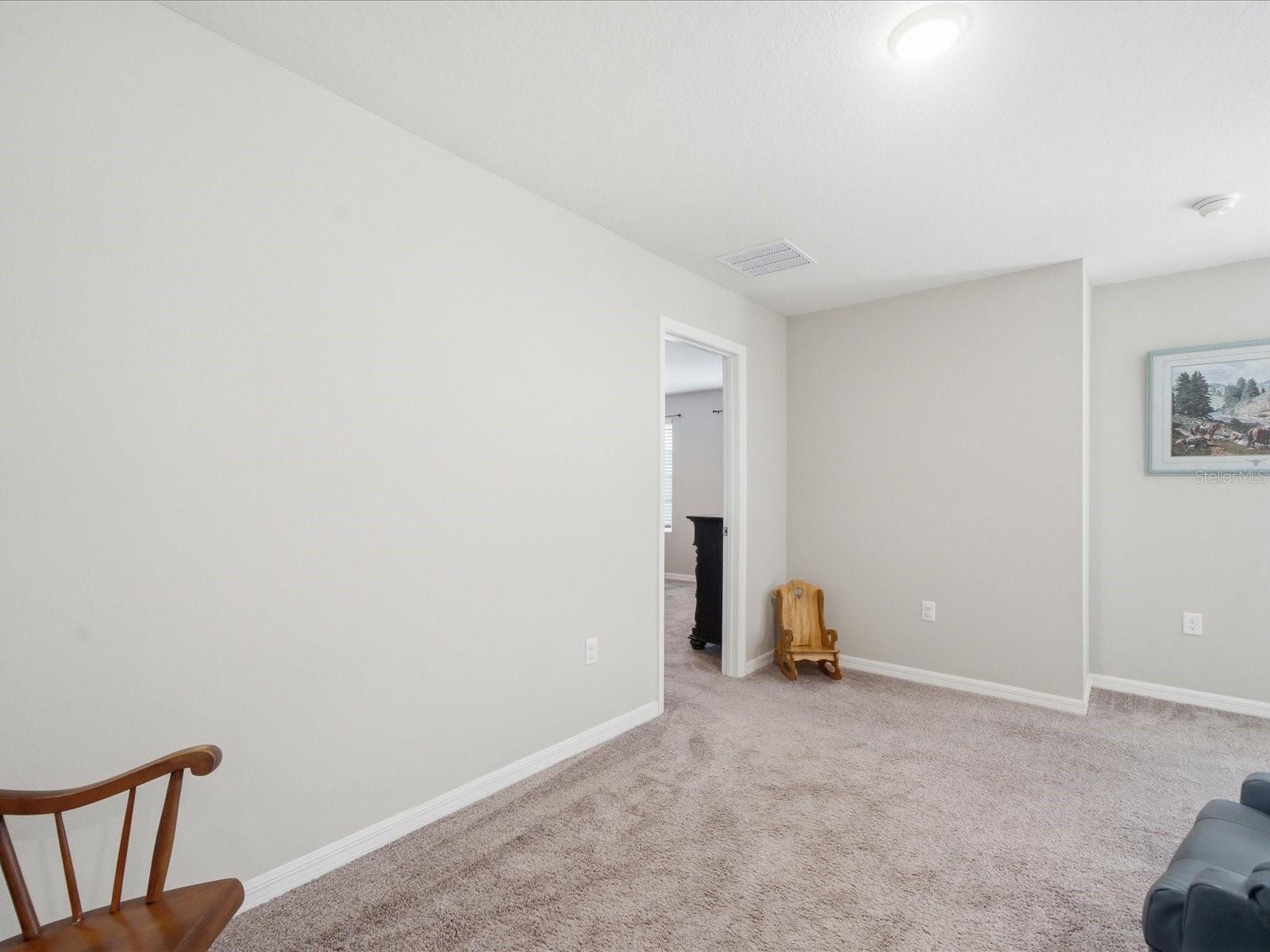 34149 SCARLET SAGE CT, WESLEY CHAPEL, FL — photo 28