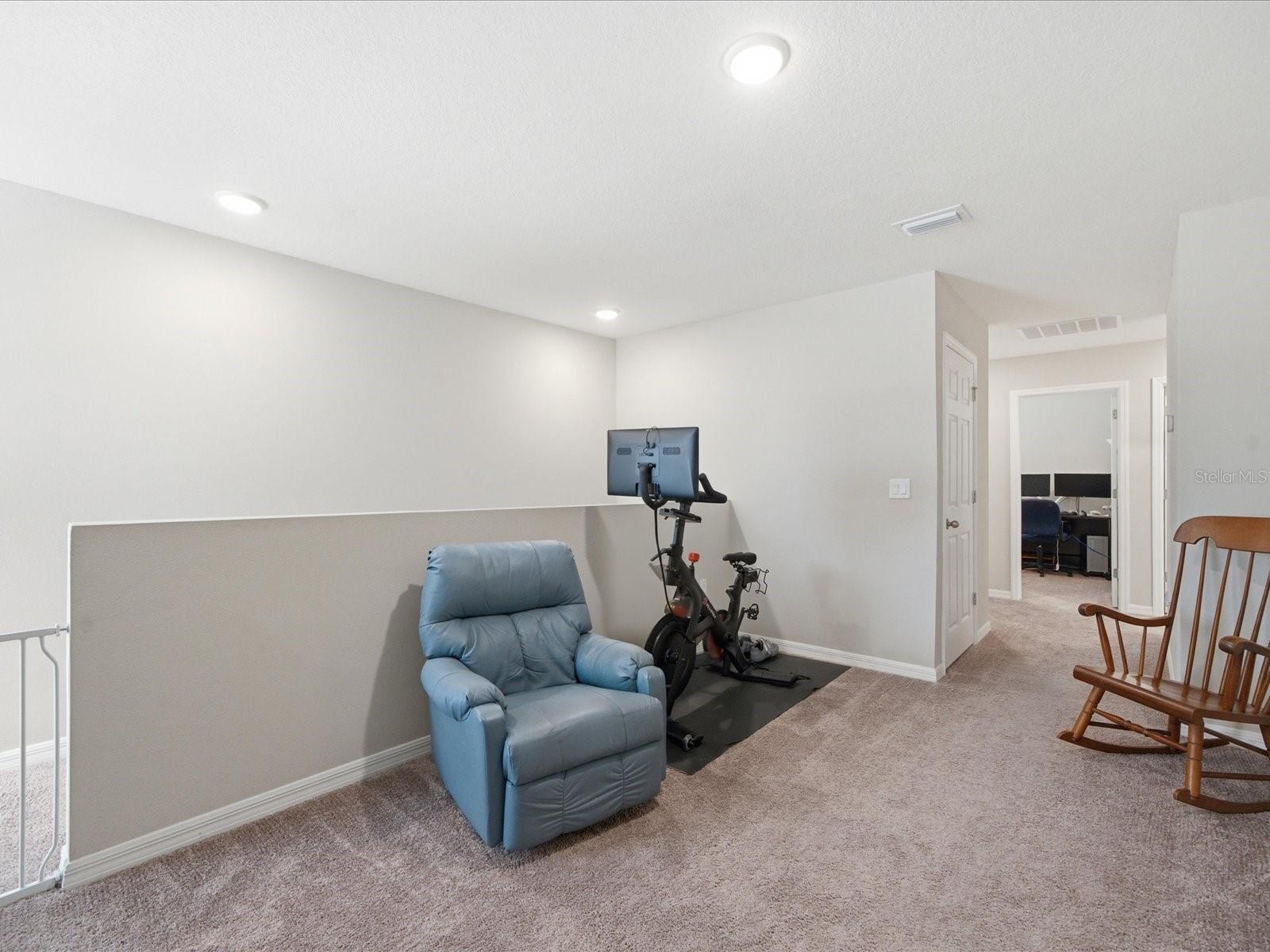 34149 SCARLET SAGE CT, WESLEY CHAPEL, FL — photo 29