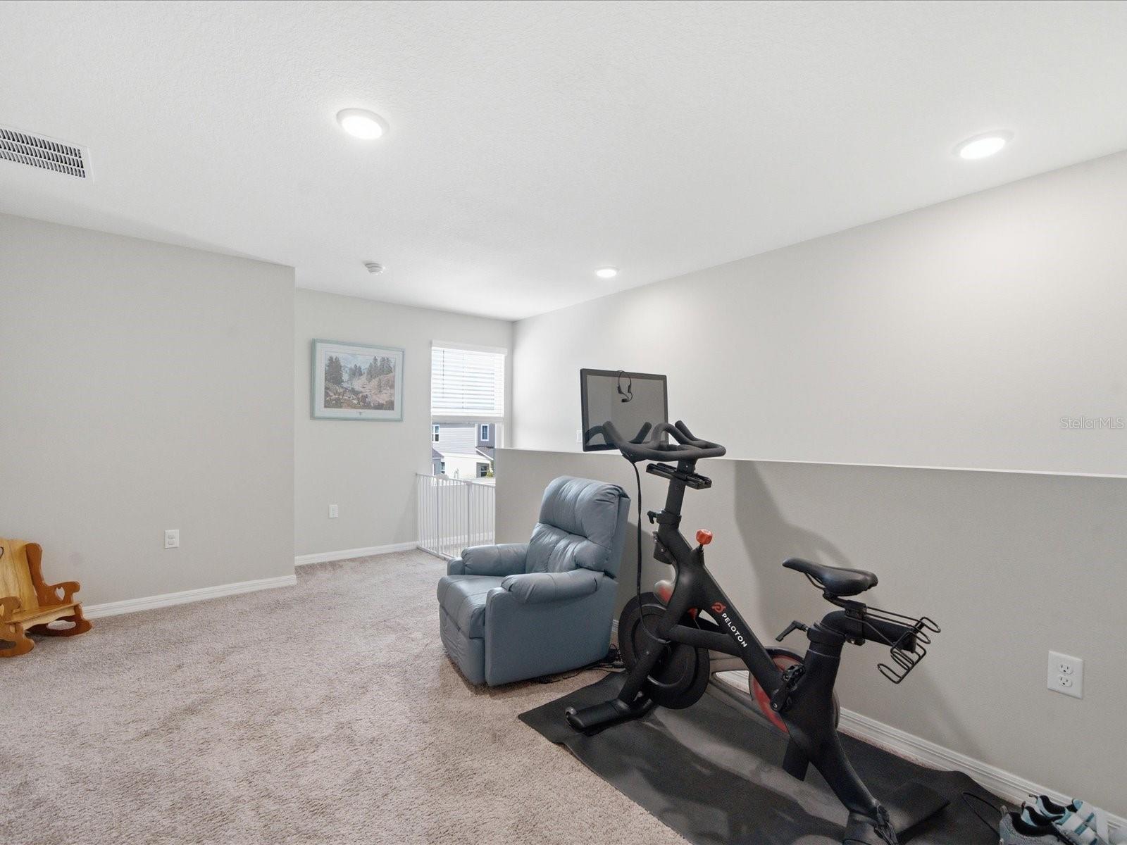 34149 SCARLET SAGE CT, WESLEY CHAPEL, FL — photo 30