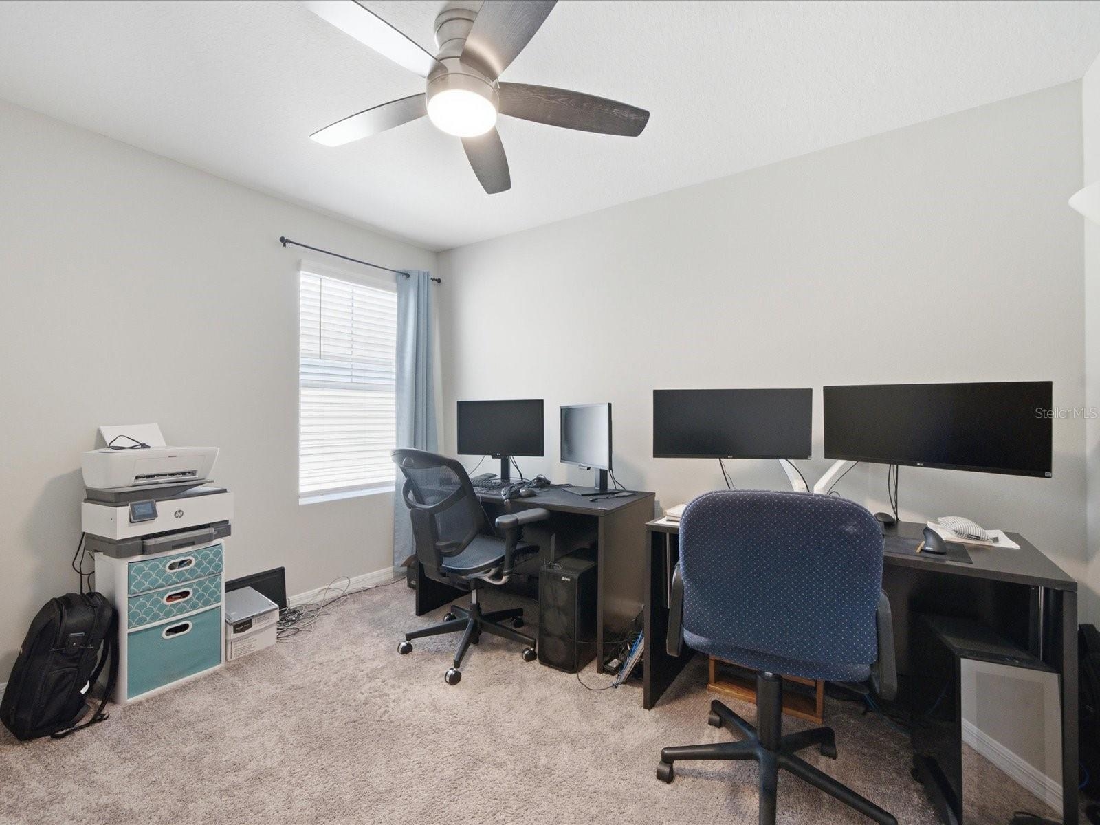 34149 SCARLET SAGE CT, WESLEY CHAPEL, FL — photo 36