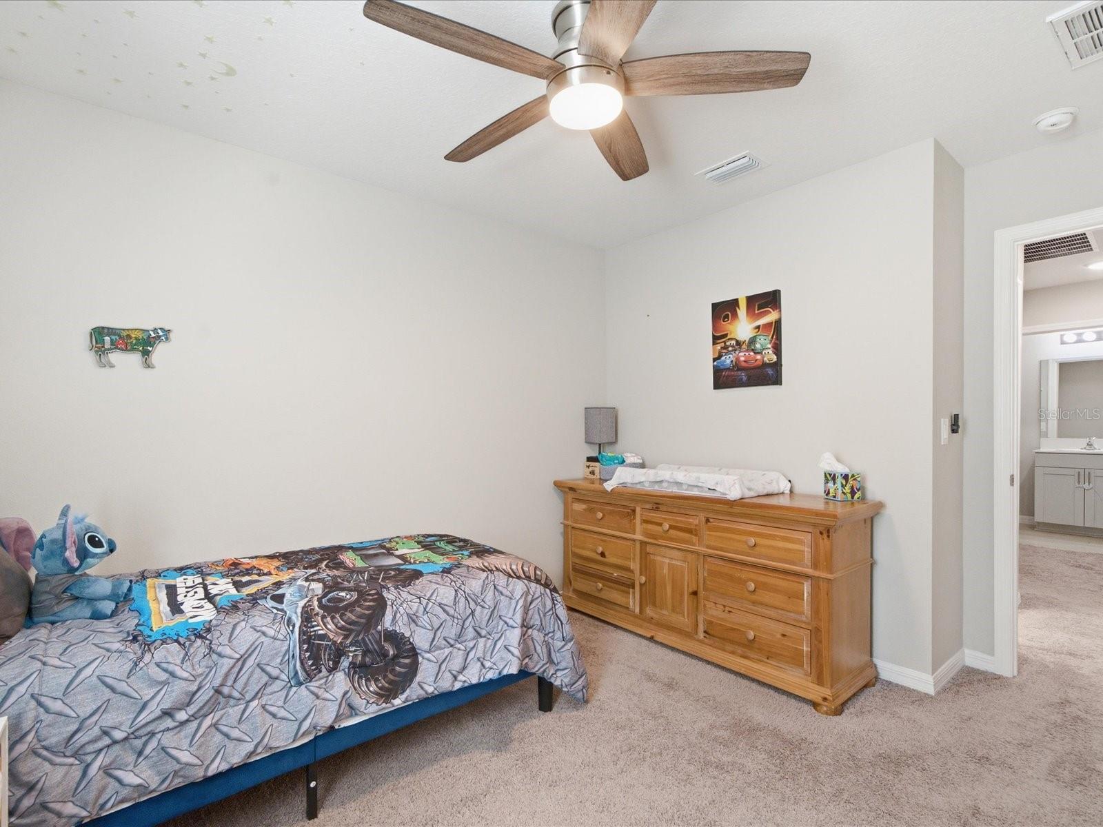34149 SCARLET SAGE CT, WESLEY CHAPEL, FL — photo 45