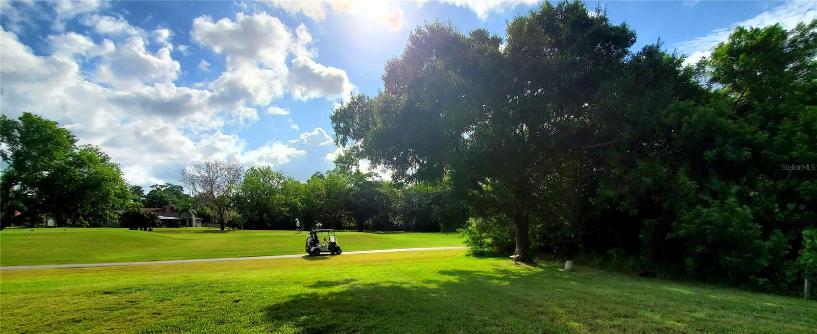 100 WATER OAK WAY, OLDSMAR, FL — photo 2