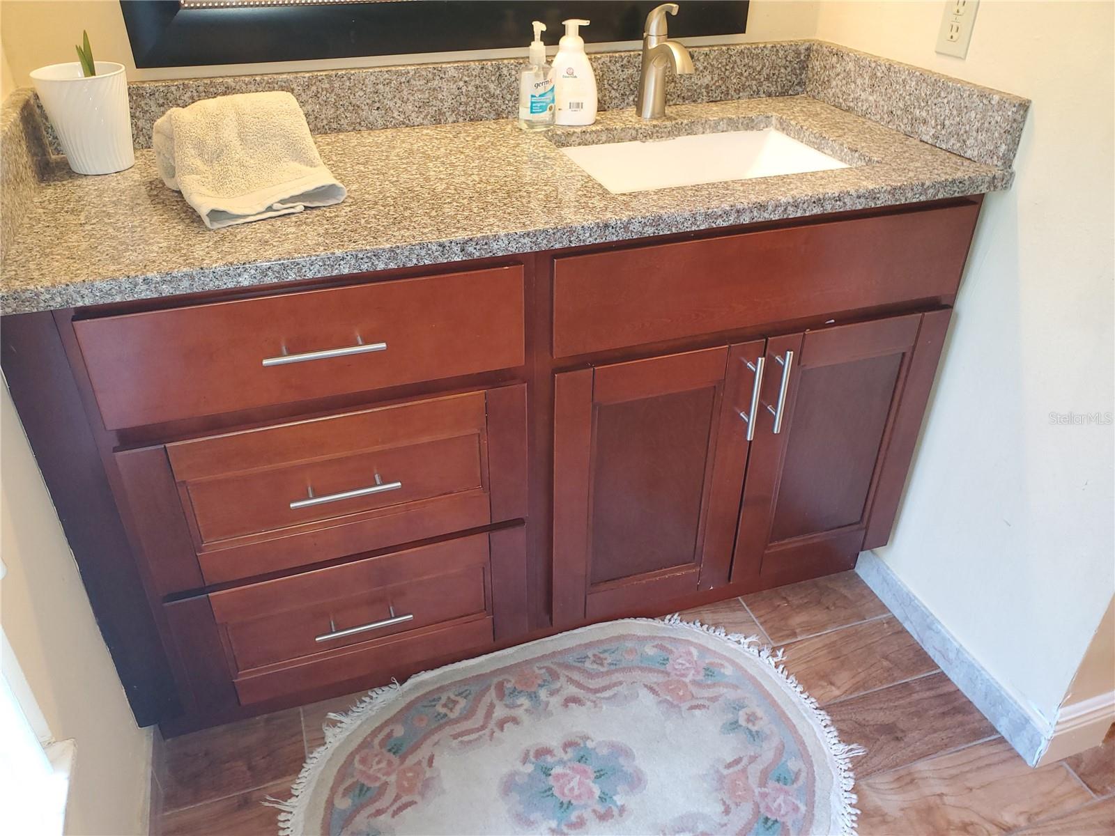 100 WATER OAK WAY, OLDSMAR, FL — photo 26
