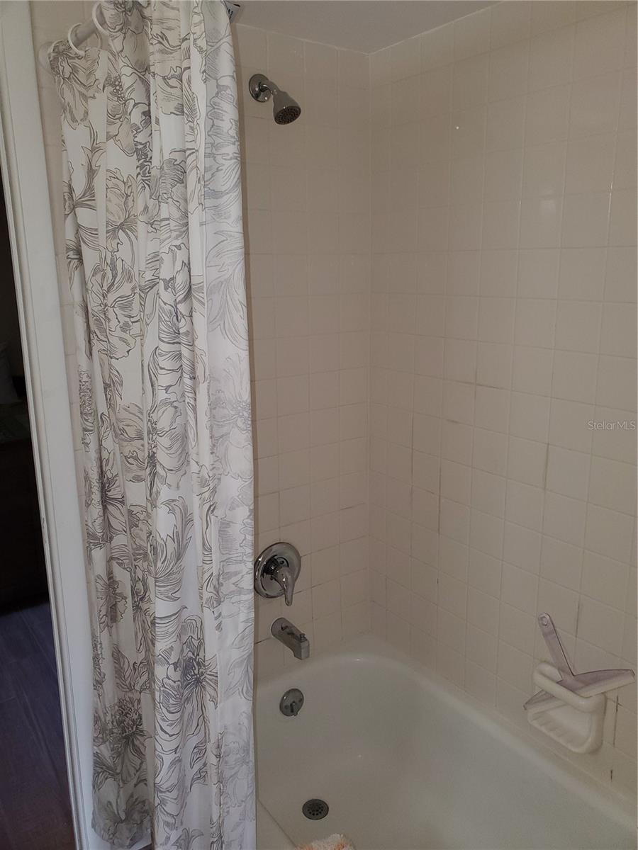 100 WATER OAK WAY, OLDSMAR, FL — photo 33