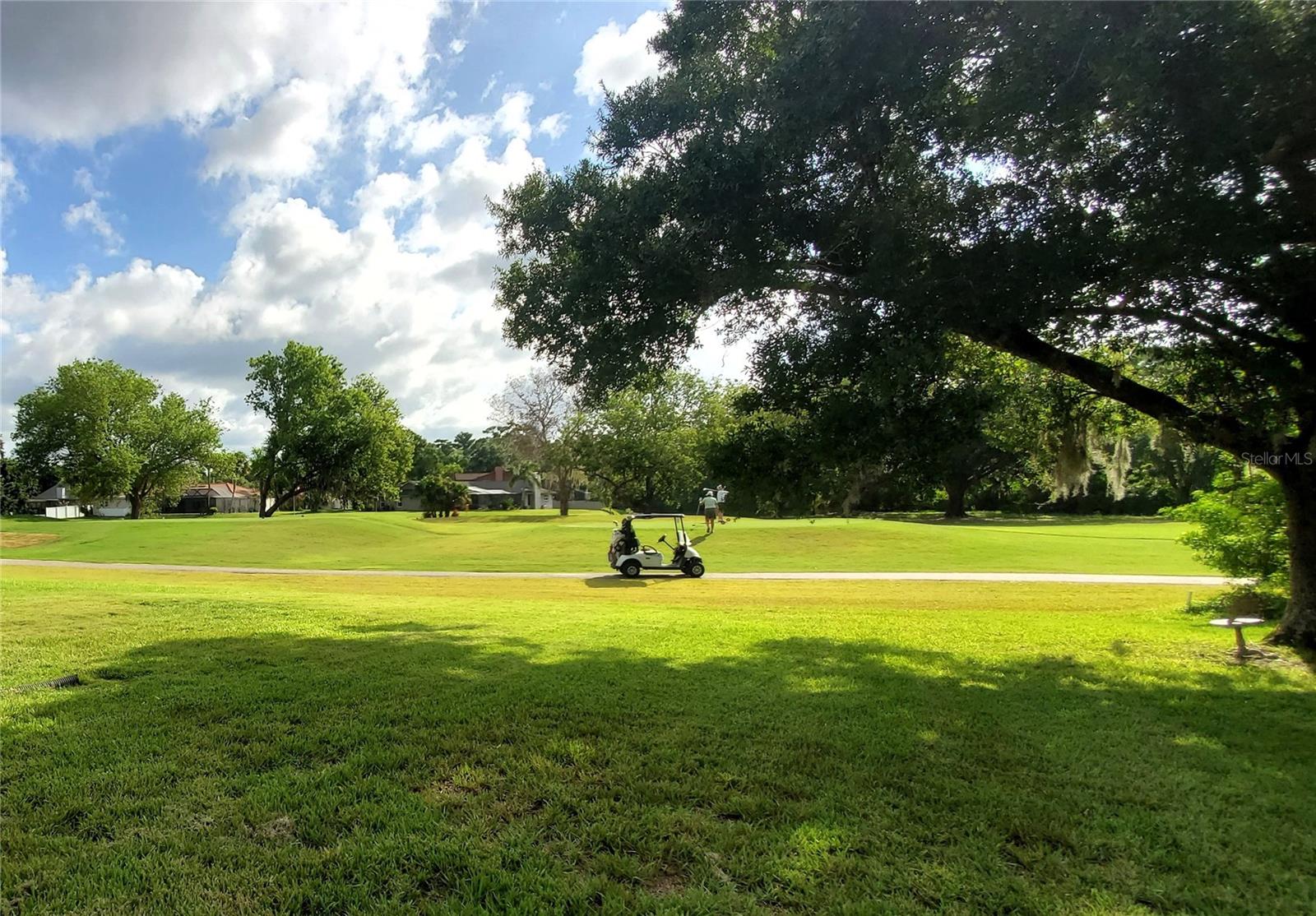 100 WATER OAK WAY, OLDSMAR, FL — photo 42