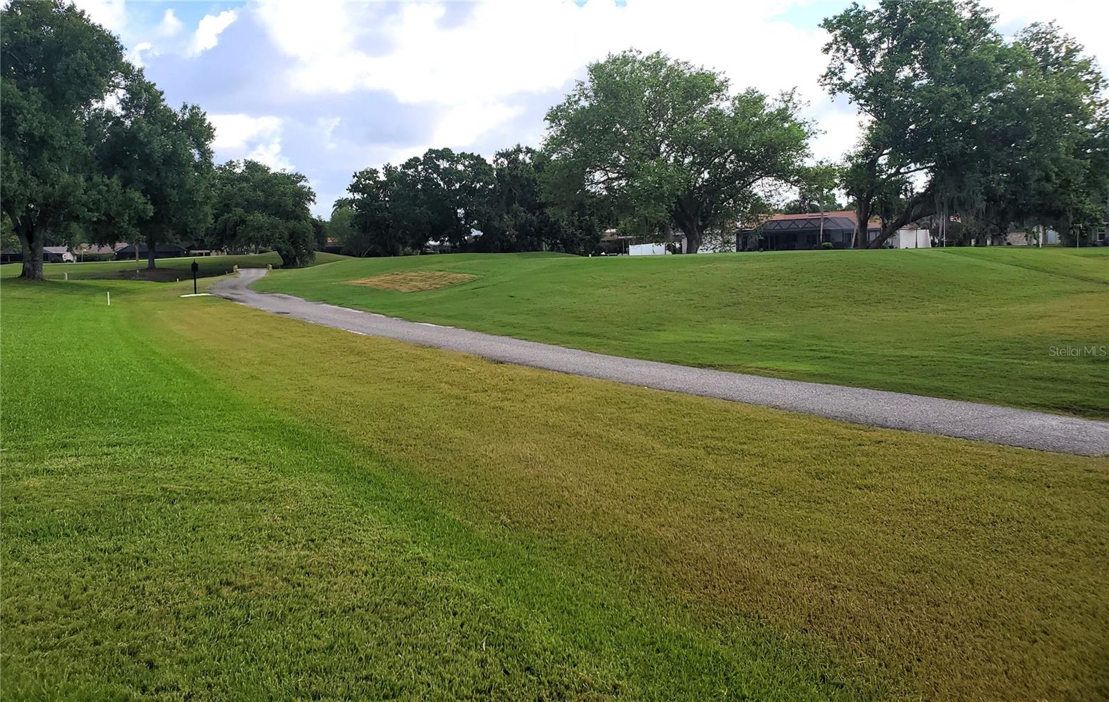 100 WATER OAK WAY, OLDSMAR, FL — photo 46