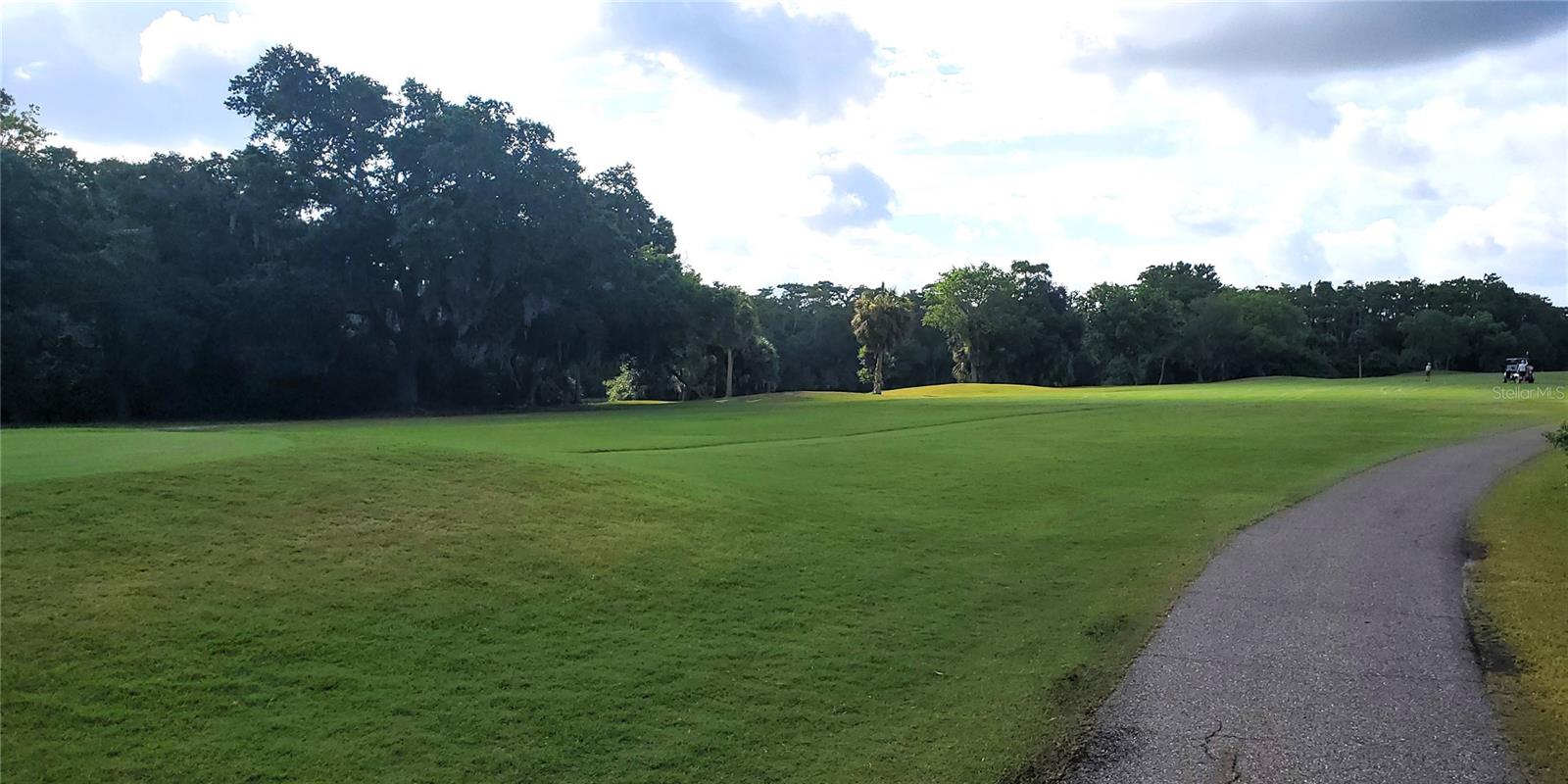 100 WATER OAK WAY, OLDSMAR, FL — photo 47