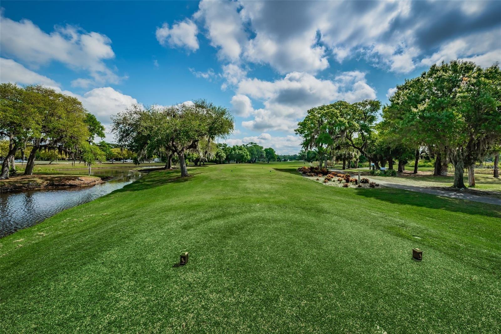 100 WATER OAK WAY, OLDSMAR, FL — photo 56
