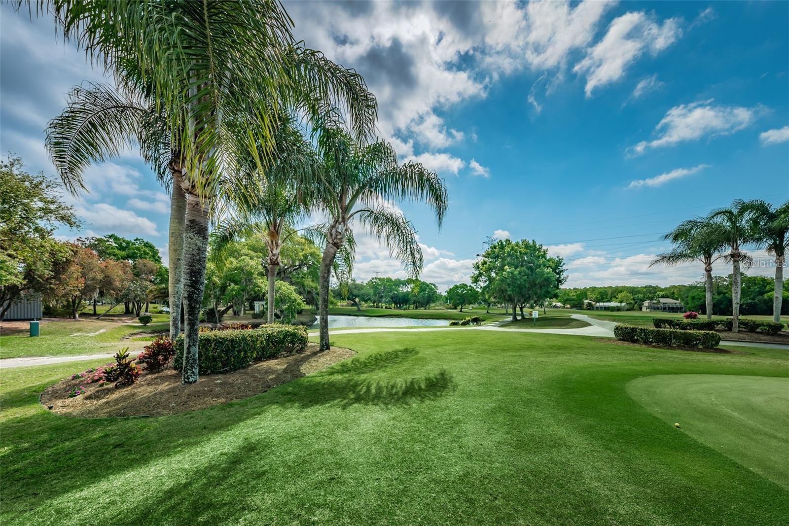 100 WATER OAK WAY, OLDSMAR, FL — photo 57