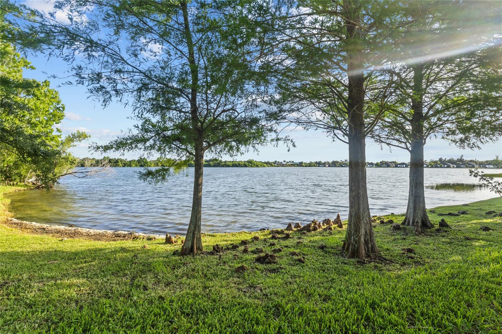 8810 TUSCANY ISLES DR, PUNTA GORDA, FL — photo 45