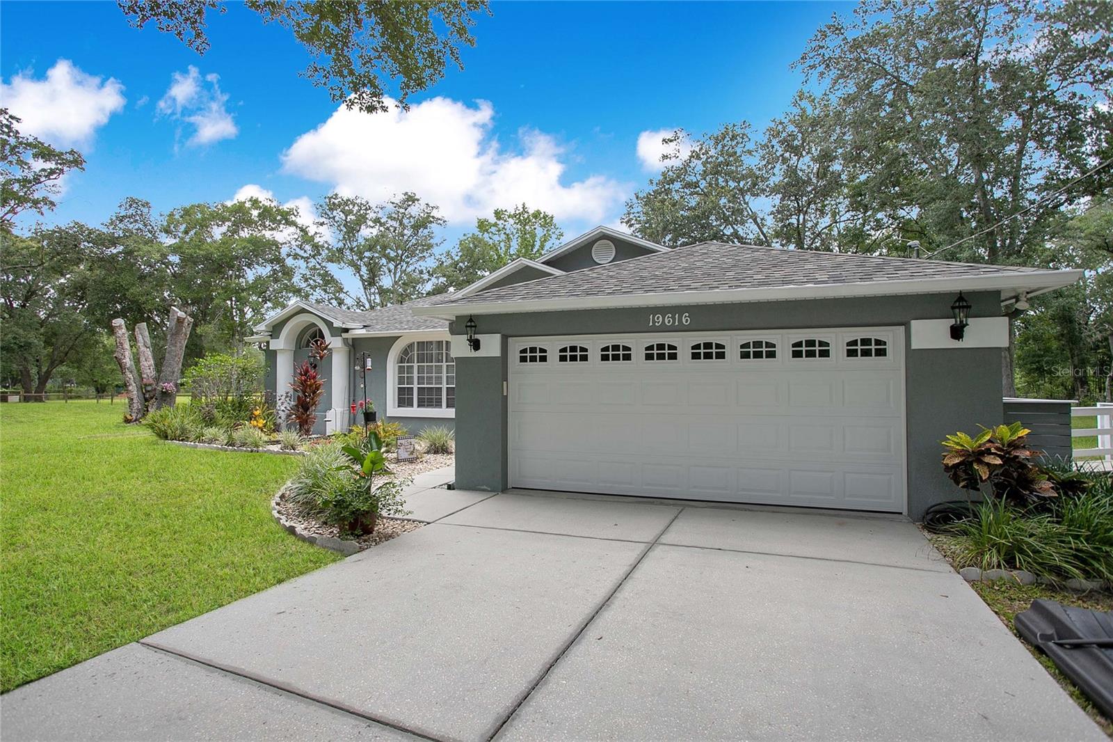 19616 LIVINGSTON AVE, LUTZ, FL — photo 4