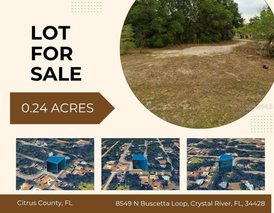 8549 N BUSCETTA LOOP, CRYSTAL RIVER, FL