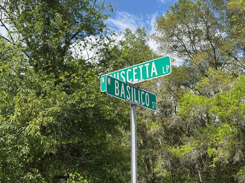 8549 N BUSCETTA LOOP, CRYSTAL RIVER, FL — photo 6