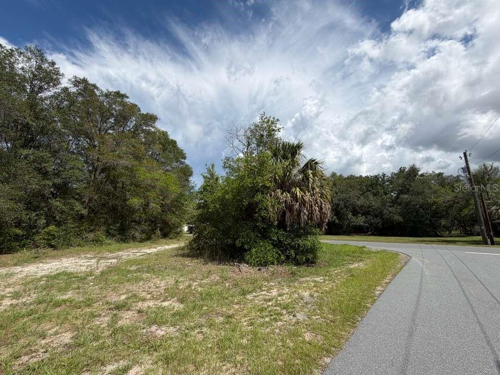 8549 N BUSCETTA LOOP, CRYSTAL RIVER, FL — photo 13